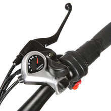 Cargar imagen en el visor de la galería, BICICLETA ELECTRICA PLEGABLE RECREATIVA - Marca Ancheer - RUEDA 26 PULGADAS - AM4142